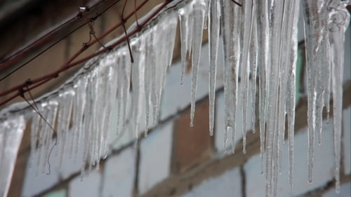Drops Of Water Dripping Icicles