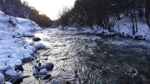 River In Snowy Forest