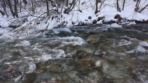 River In Snowy Forest