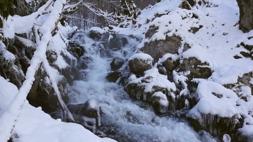 River In Snowy Forest