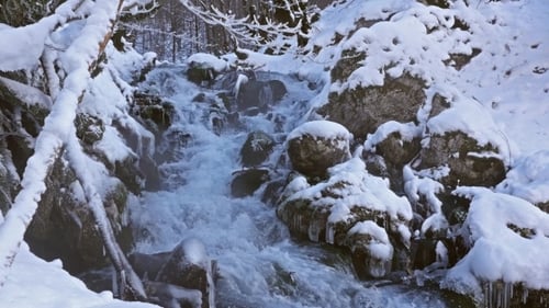 River In Snowy Forest