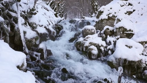 River in Snowy Forest