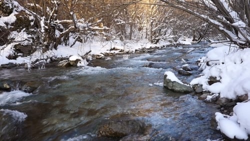 River In Snowy Forest