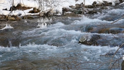 River In Snowy Forest