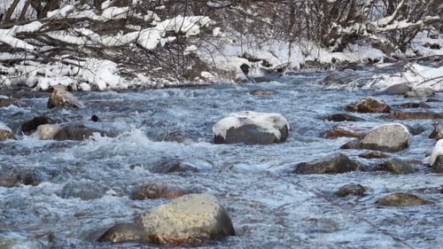 River In Snowy Forest