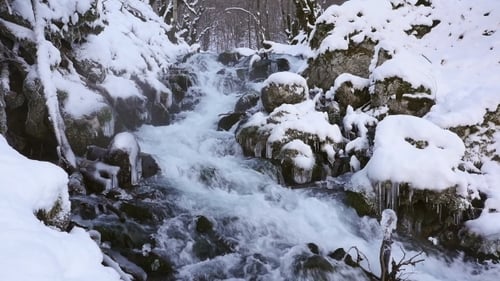 River In Snowy Forest