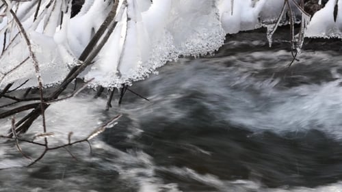 River In Snowy Forest