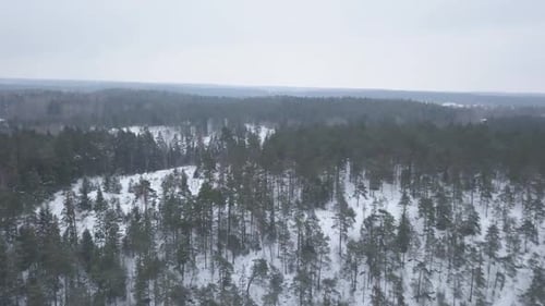 Breite Luftaufnahmen von spektakulären immergrünen Waldlandschaften im Winter, während sie langsam schwenken und kippen