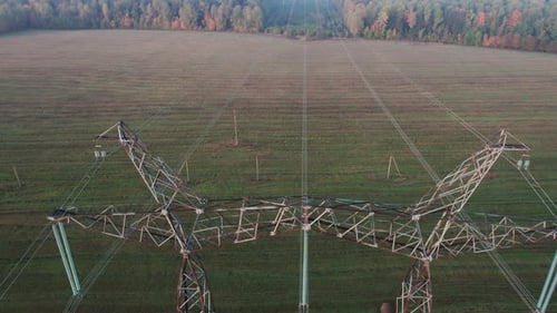 Power Line Support with Fixed Power Transmission Wires in a Wooded Area