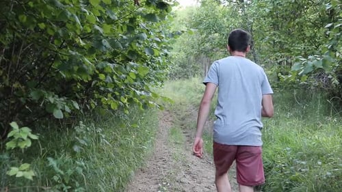 Ein Mann geht tagsüber und in der Sommersaison auf einem Fußweg im Wald. Junger Mann beim Wal von hinten gefilmt