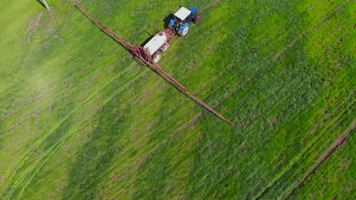 Tractor Sprayer Works in the Field.