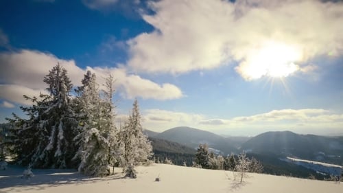 Eine starke Wintersonne