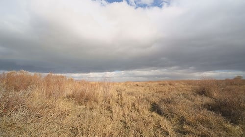 Steppe