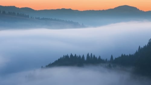 Foggy Mountain Landscape. Nature. Fog Clouds.