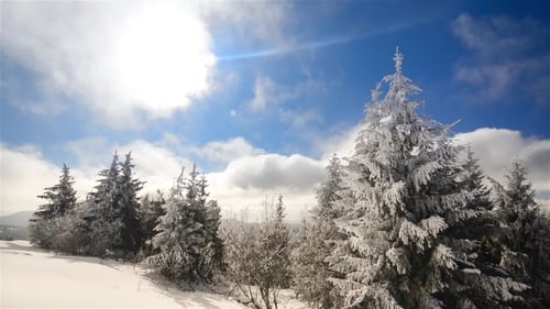 Eine starke Wintersonne