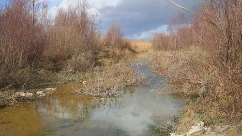 Trockener Bach fließt in den See