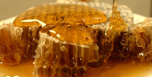 Honeycomb Slices Drenched in Flowing Golden Honey