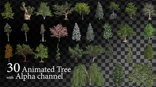 30 HI Poly Animierter Baum