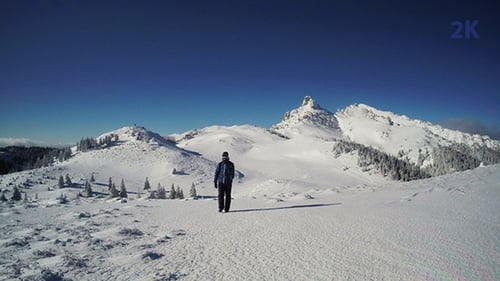 Reisender im Winterberg