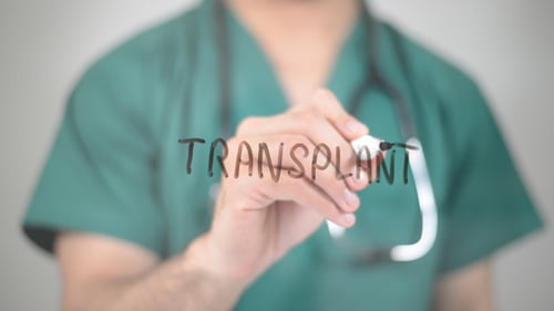 Transplantation