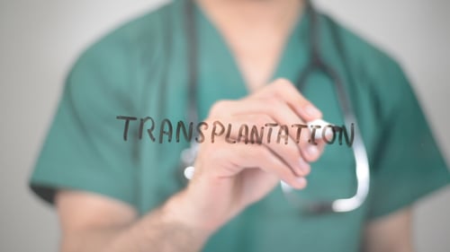 Transplantation