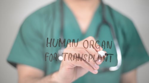 Humanorgan zur Transplantation