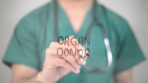 Organspender