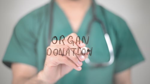 Organspende