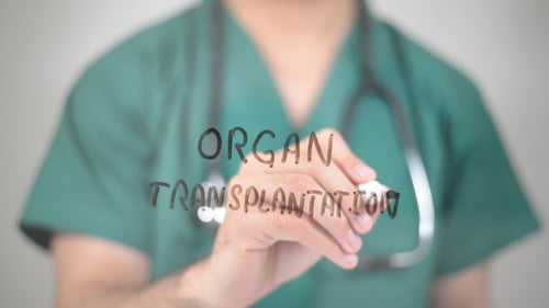 Organtransplantation