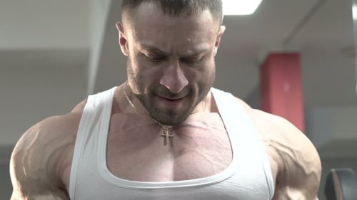 Muscular Man Lifting Weights at the Gym