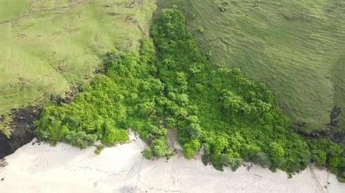 Green hill by the beach