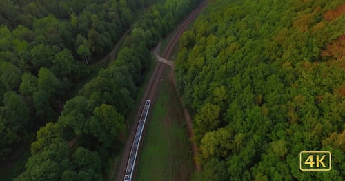 Train Travels Through Beautiful Forest at Sunset