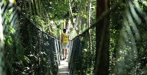 Explorando a selva