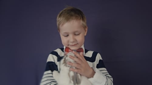 Little Boy Gently Petting a Pet Rabbit