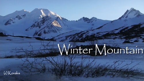 Winter Berglandschaft