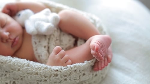 Precious Newborn Baby Sleeping Peacefully with Stuffed Animal