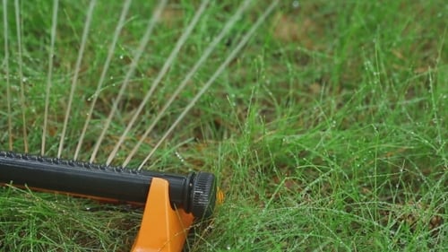 Sprinkler Irrigating Lush Green Grass Lawn