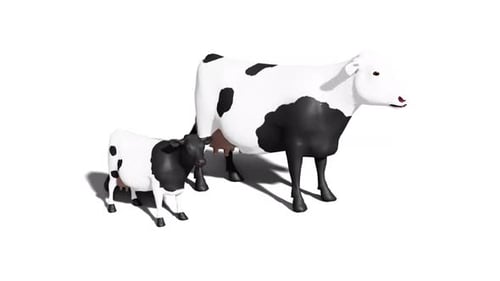 Modern 3D Animated Cow and Calf Duo