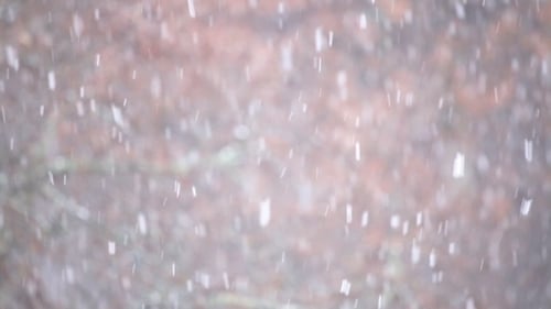 Hintergrund des Schneefalls, der im Winter schnell weht Blizzard
