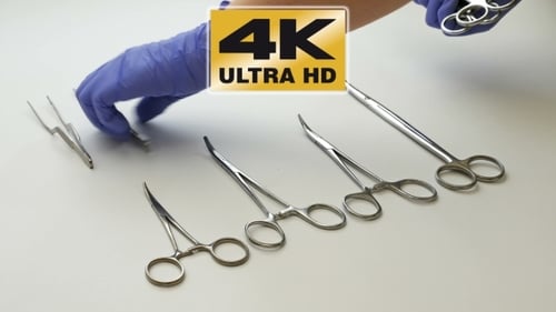 Sterile Surgical Instruments Sorted by Gloved Hand