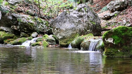 Picturesque Stream Flowing Through Lush Green Mossy Forest