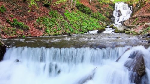 Scenic Waterfall Flowing in Lush Green Forest