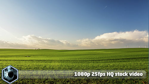 Spring Farm Field