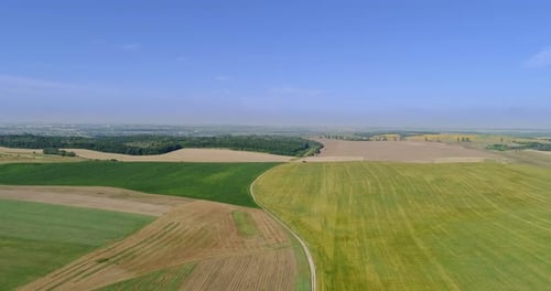 Flight over field, yellow green fields
