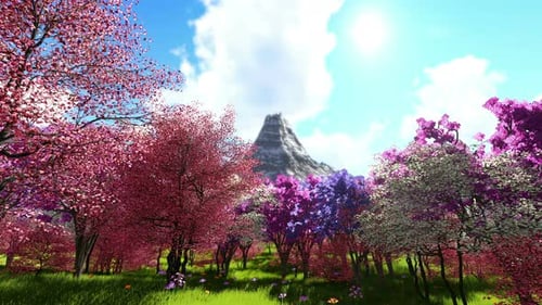 Beautiful Mountain and Sakura Cherry Blossom
