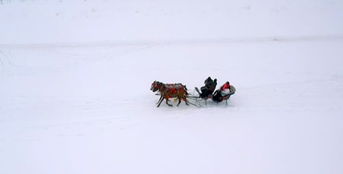 Sleigh Rides 3