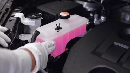 Mechanic Checking Coolant in Car Engine Bay