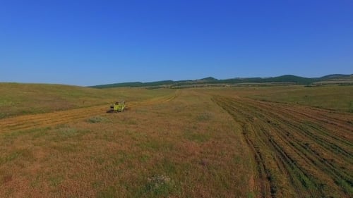 AERIAL VIEW. Combine Harvester Mowing Ripe Field