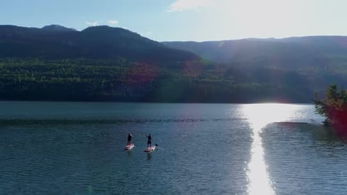 Couple rowing a stand up paddle board in the river 4k