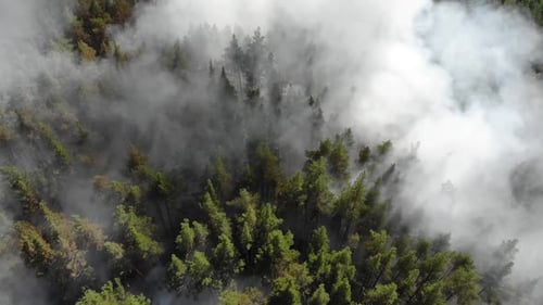 Top View of a Fire Erupted in the Forest